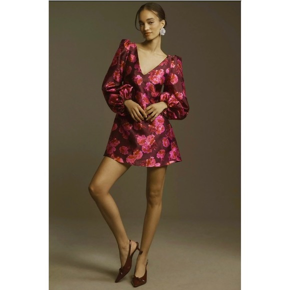 Anthropologie Dresses & Skirts - NWT!! Anthropologie BHLDN Aliana V Neck Floral Organza Mini Dress Large